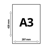 A3