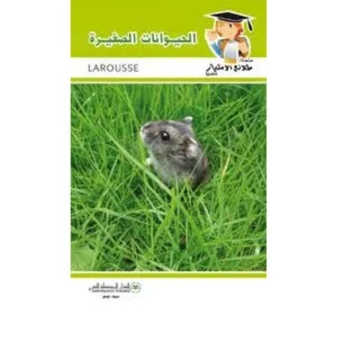 Texte alternatif de l'image