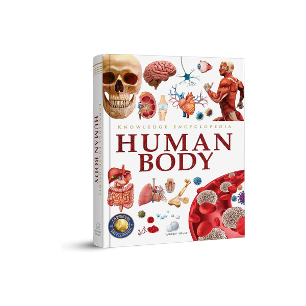 Knowledge Encyclopedia: Human Body