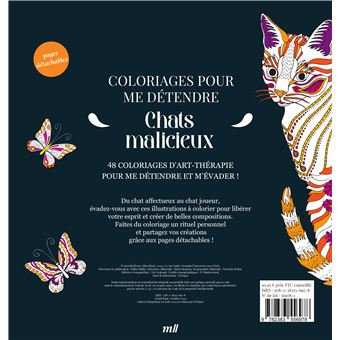 Texte alternatif de l'image
