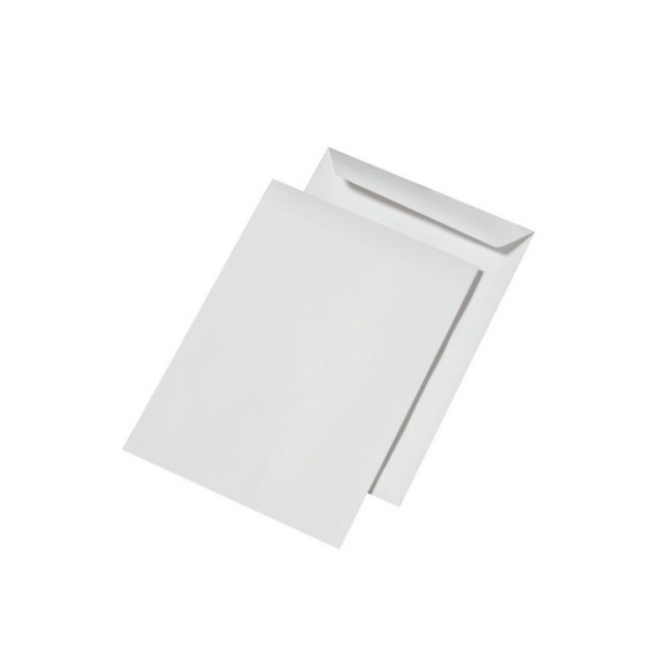 POCHETTES BLANC 16*22 P500 PIGNA
