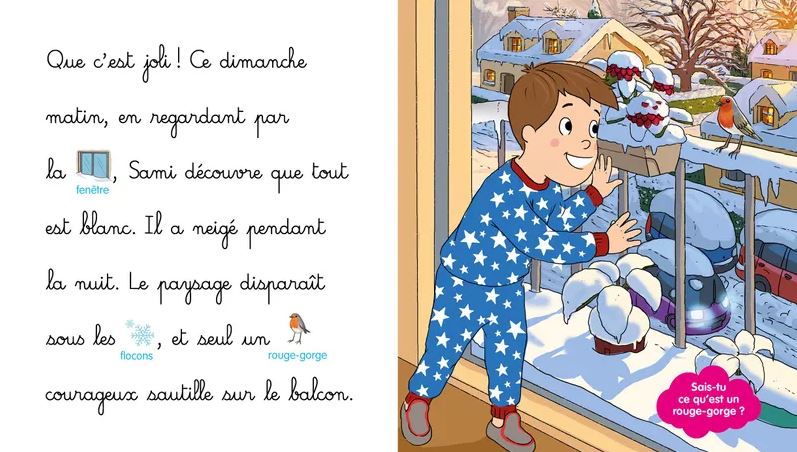 LES HISTOIRES DE P'TIT SAMI MATERNELLE (3-5 ANS) : LE BONHOMME DE NEI