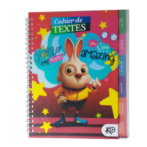 CAHIER DE TEXTE FANTAISE KO