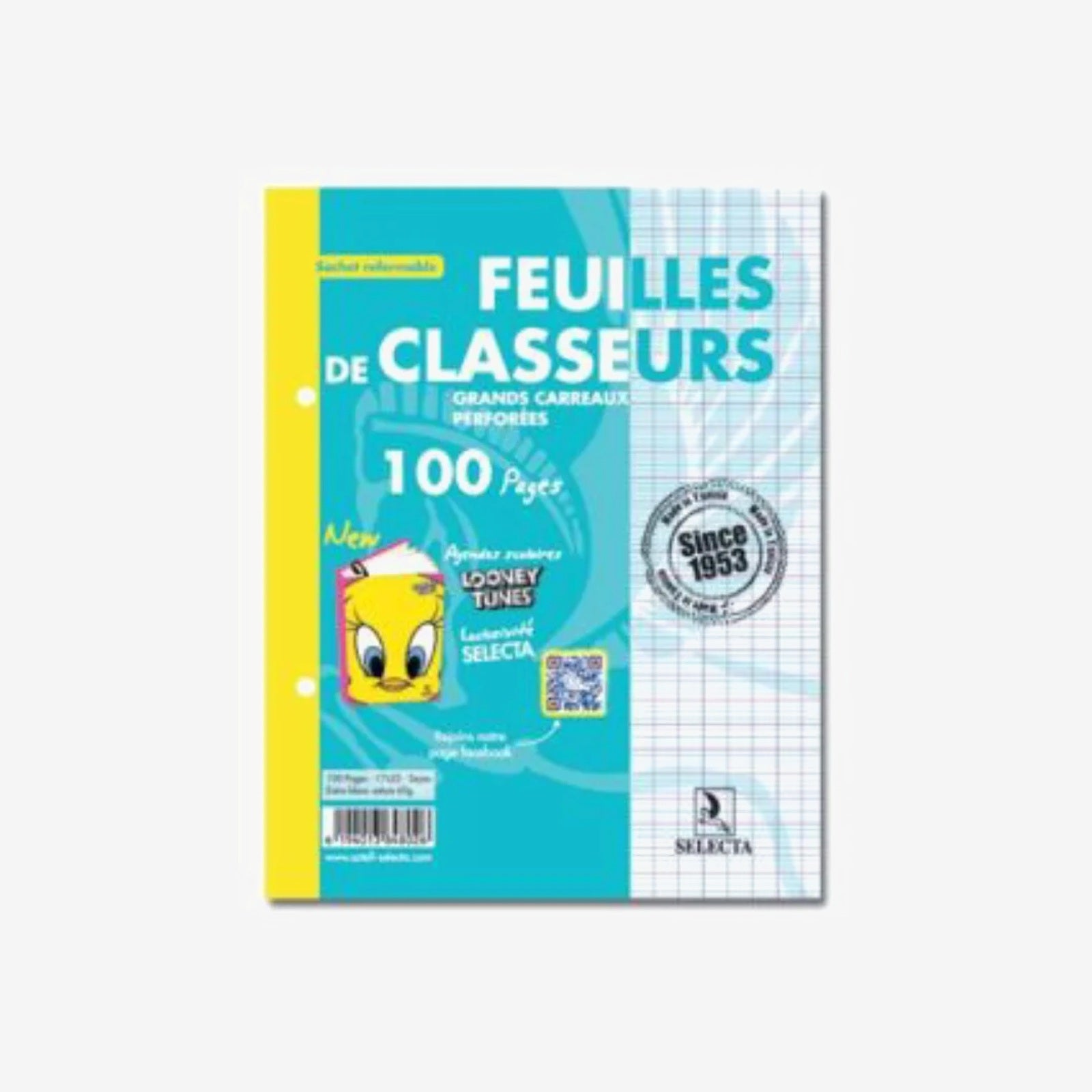 Texte alternatif de l'image