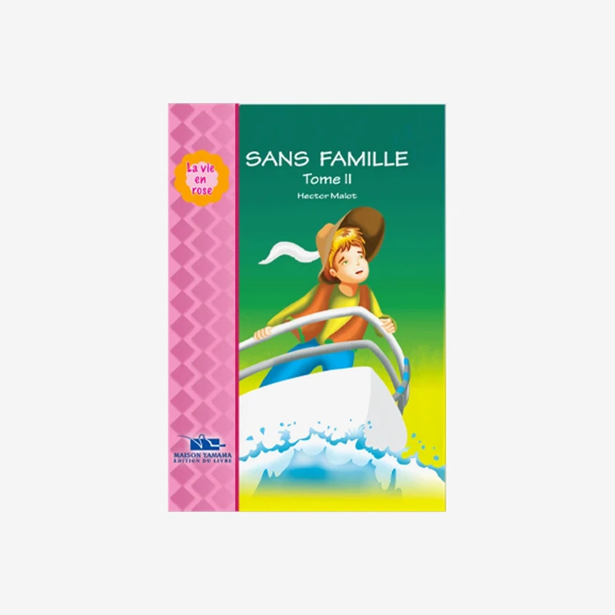 LA VIE EN ROSE 7-SANS FAMILLE TOME2.