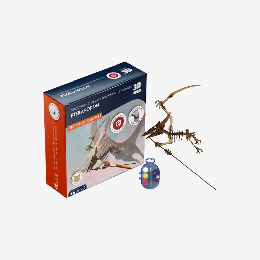 Jouet Puzzle 3D en Bois Dinosaure Pteranodon + Gouache.