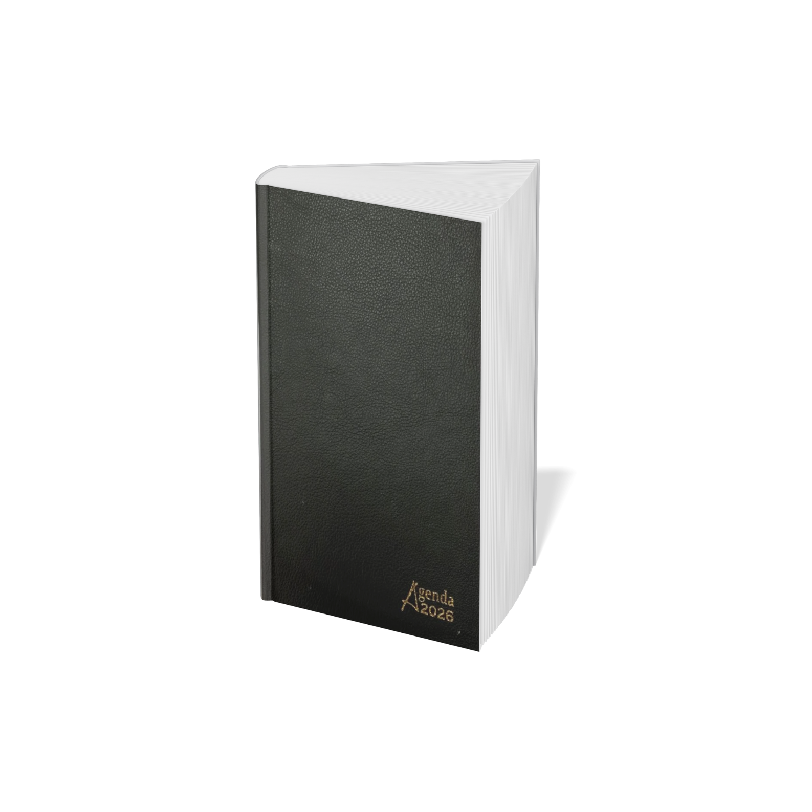AGENDA DE BUREAL FLEXI 14*21-SILDAR 2025