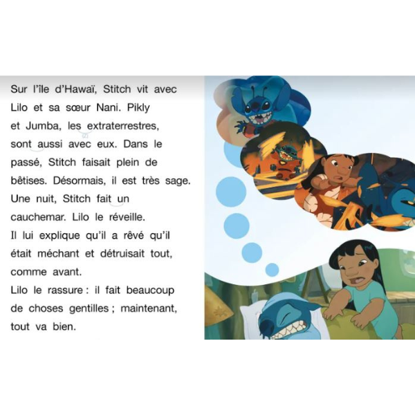 DISNEY - LILO ET STITCH 2 - HAWAI, NOUS AVONS UN PROBLEME !, CE1