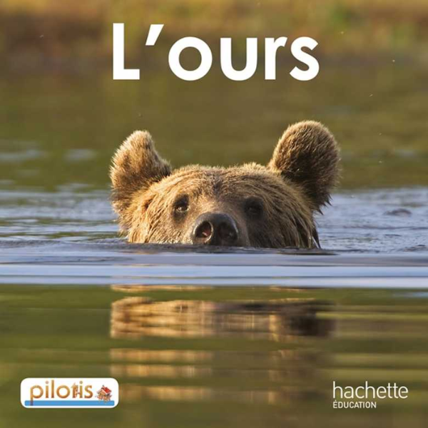 l'ours