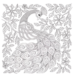 MERVEILLEUSE NATURE - COLORIAGES POUR ME DETENDRE