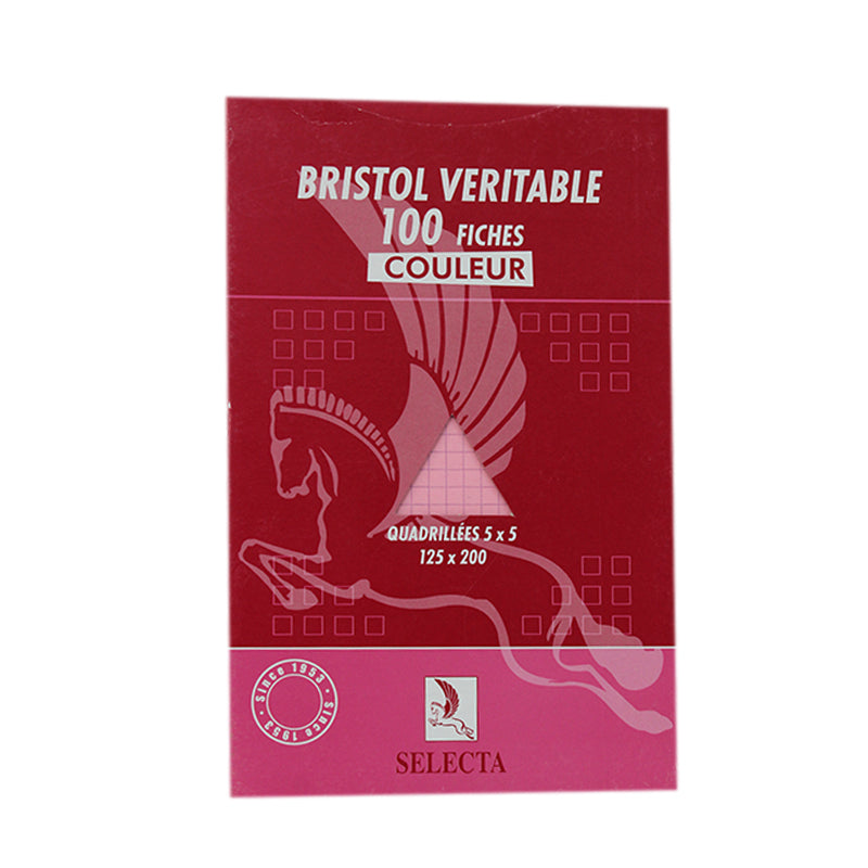 FICHES BRISTOL COULEUR PM SELECTA