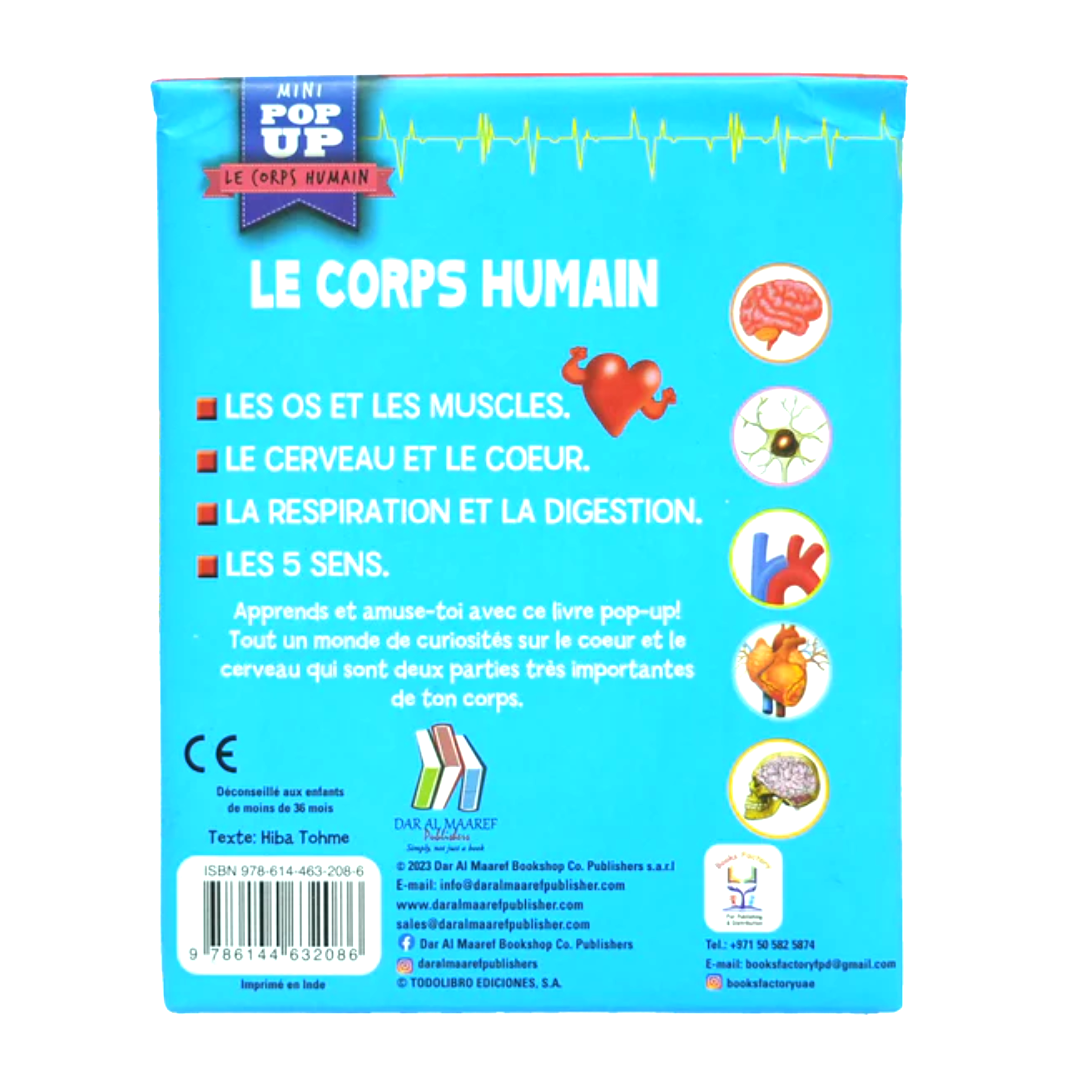 Pop Up - Le Corps Humain : Le Cerveau et le Cœur.