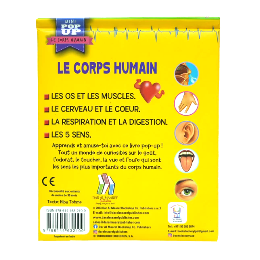 Pop Up - Le Corps Humain : Les 5 Sens.