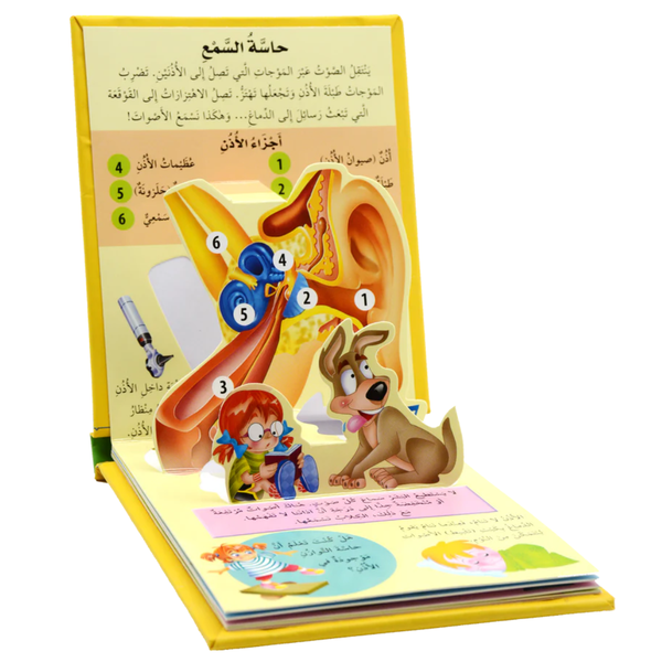 جسم الإنسان - العلوم المجسمة: الحواس الخمسة