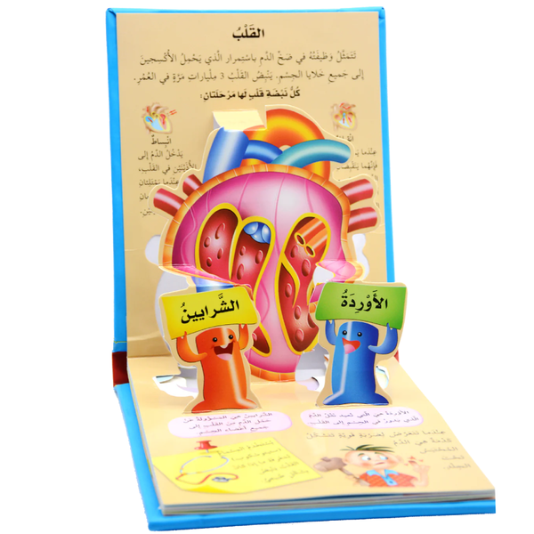 جسم الإنسان - العلوم المجسمة: الدماغ والقلب