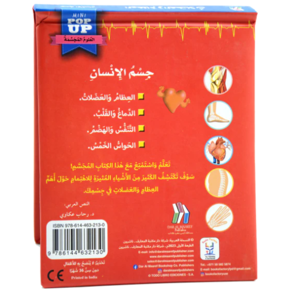 جسم الإنسان - العلوم المجسمة: العظام والعضلات.