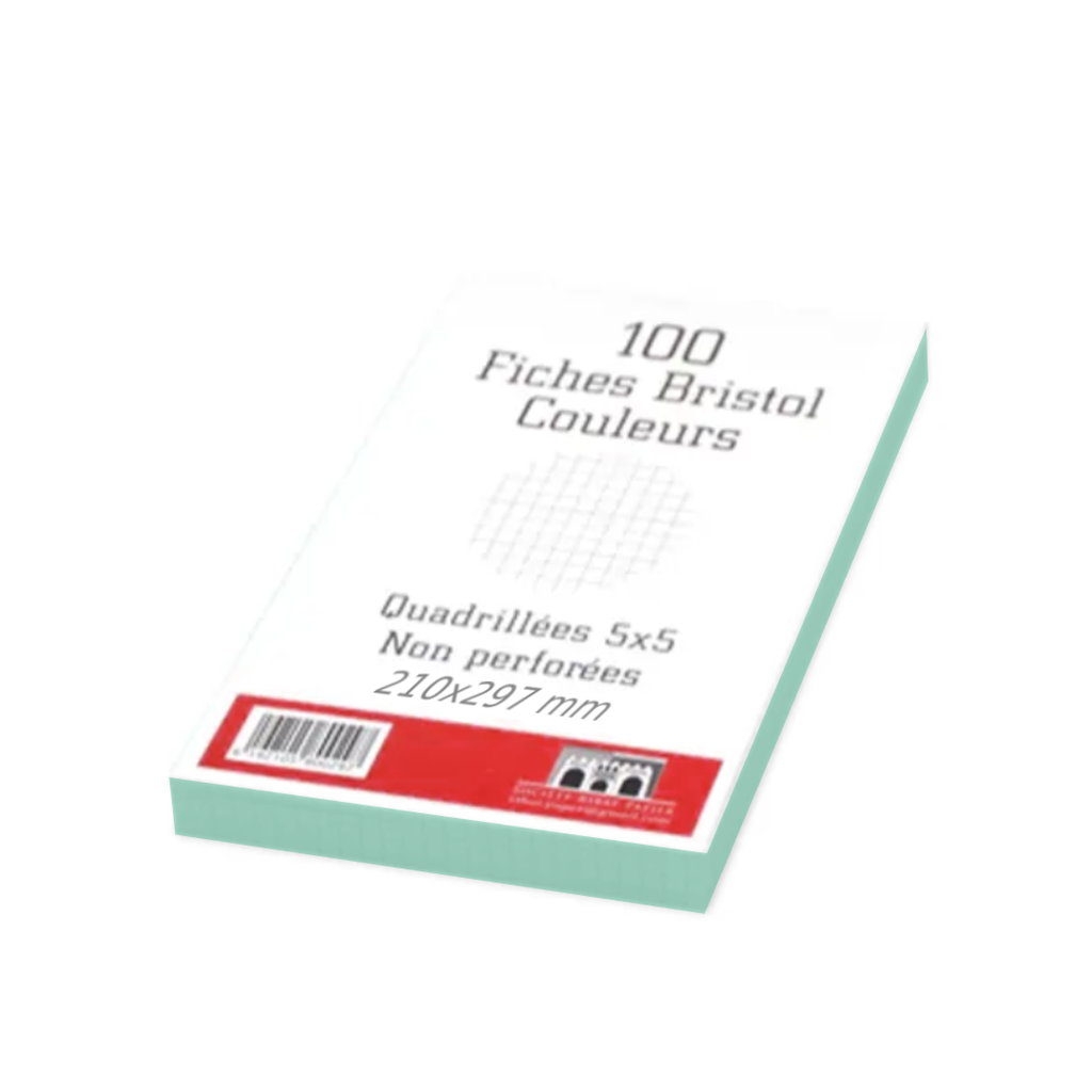 Fiche Bristol 210 x 297 mm GM Paquet de 100 Ribat