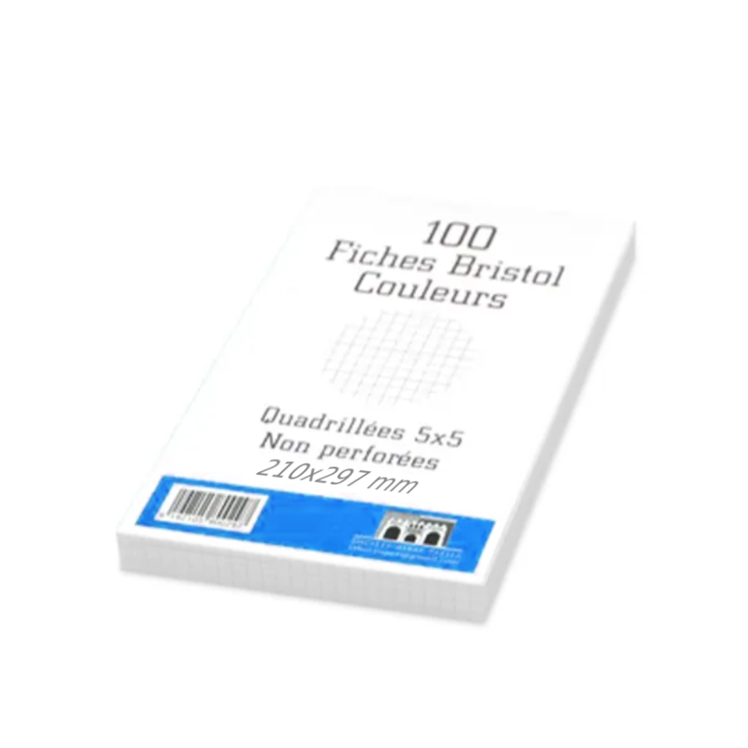 Fiche Bristol 210 x 297 mm GM Paquet de 100 Ribat.