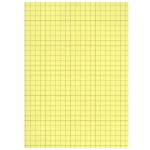 Fiche bristol Grand format.