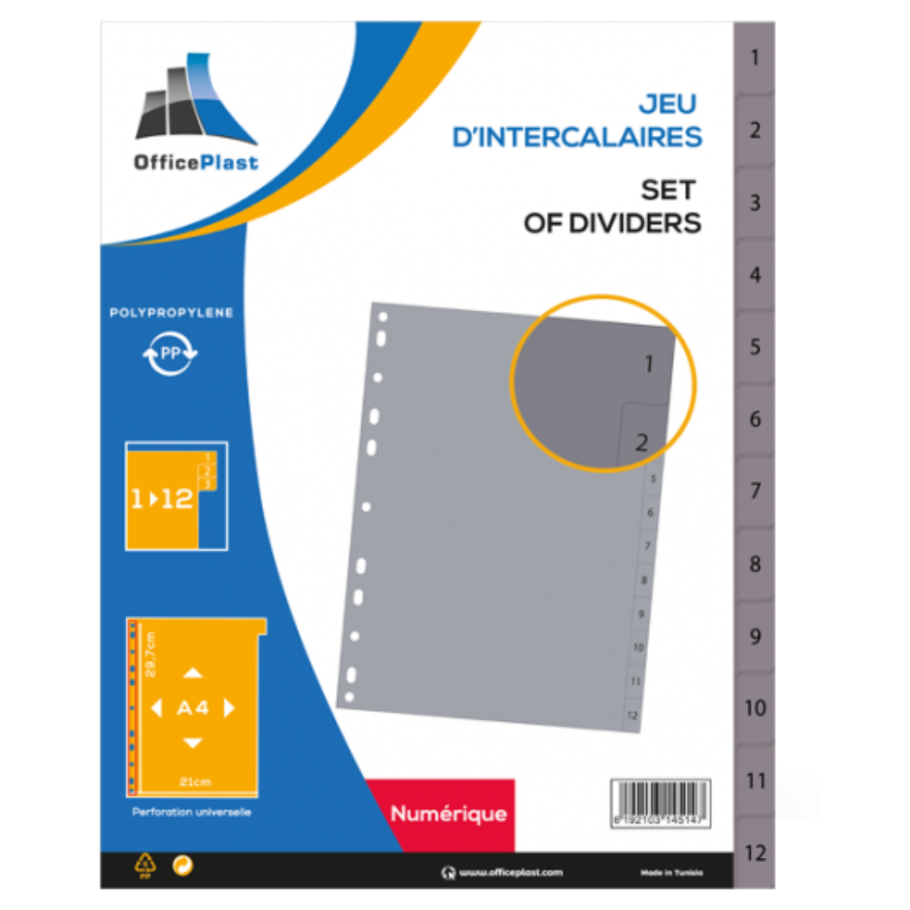 Jeu de 12 Intercalaires Mensuel A4 en PP GreySplit – Gris (P).