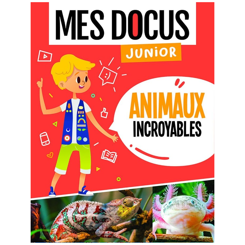 Texte alternatif de l'image
