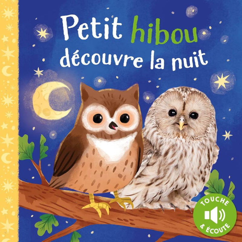 Petit hibou découvre la nuit.
