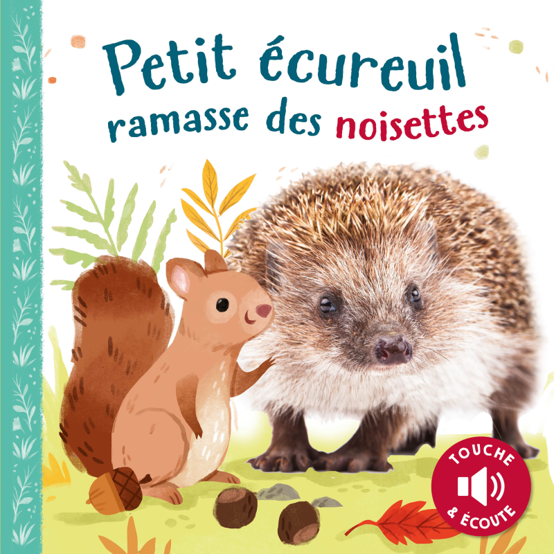 Petit écureuil ramasse des noisettes.