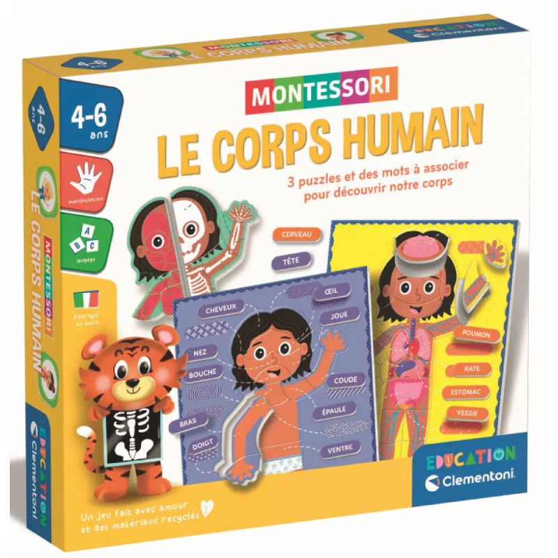 Montessori – Le Corps Humain.