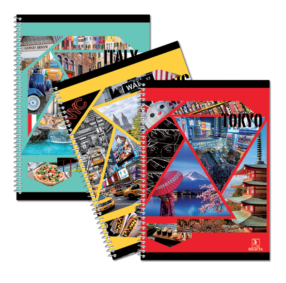 CAHIER TP PIQURE 96P 24*32 CC SYS SELECTA.