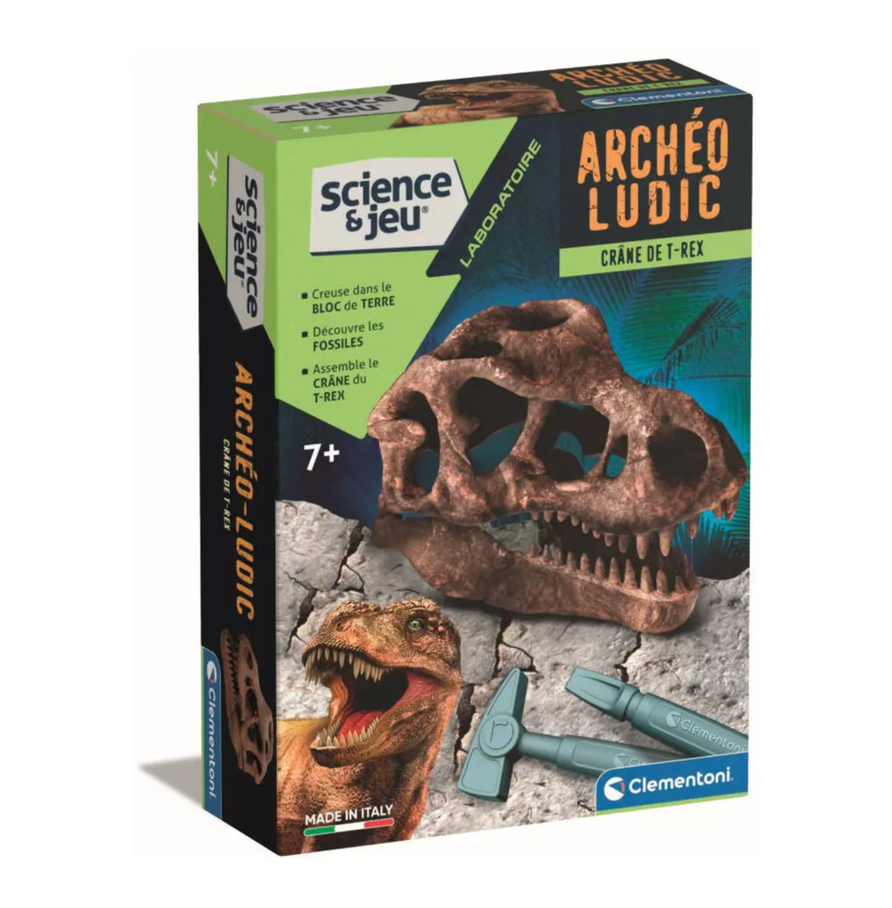 Coffret Science – Crâne de T-Rex.