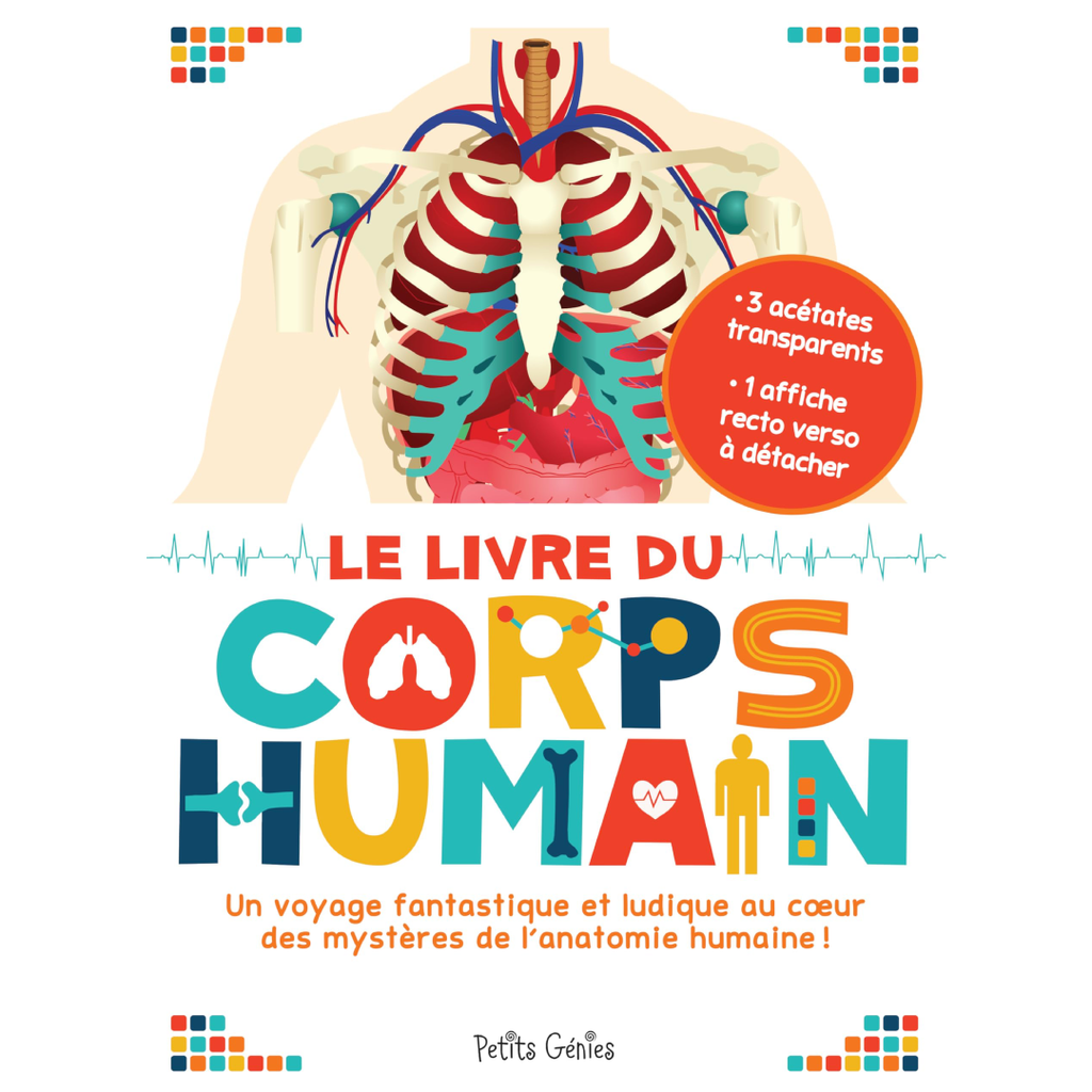 Le Livre du Corps Humain – Shoebox