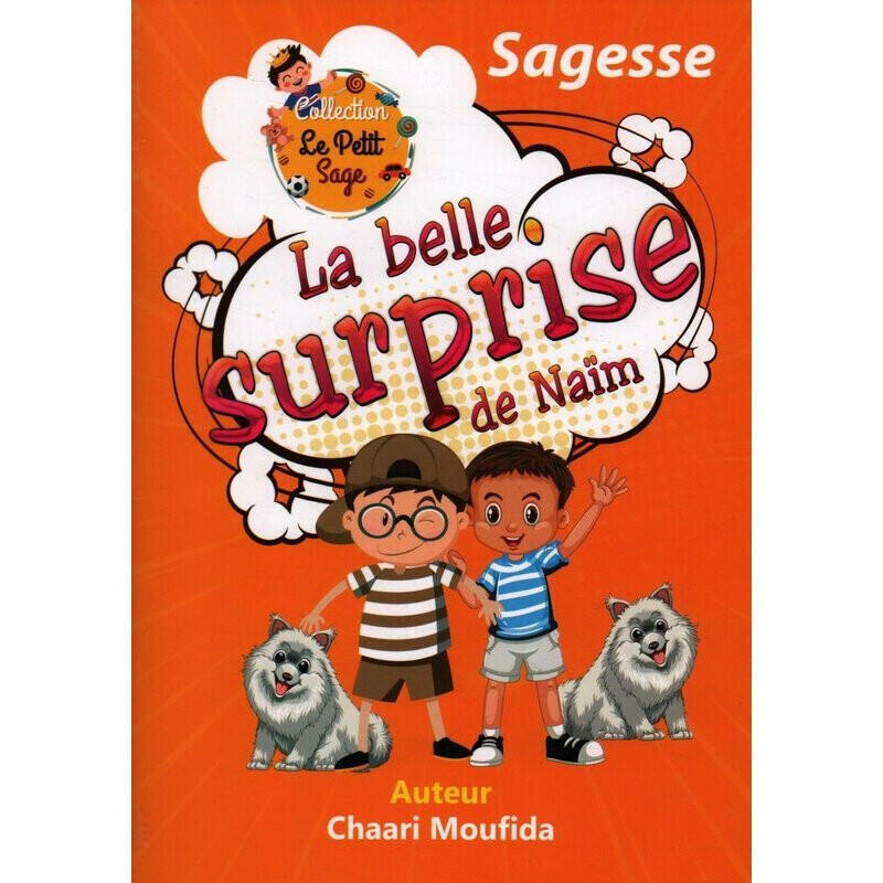 Le Petit Sage - La Belle Surprise de Naim.