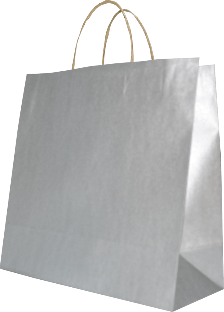 SAC EN KRAFT ECRU  COUL METALLIQUE 330+120*410AVEC POIGNEE TORSADEE